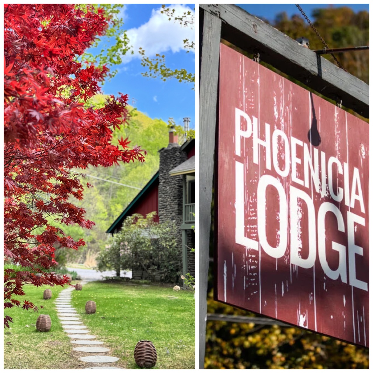 Phoenicia Lodge Exterior View