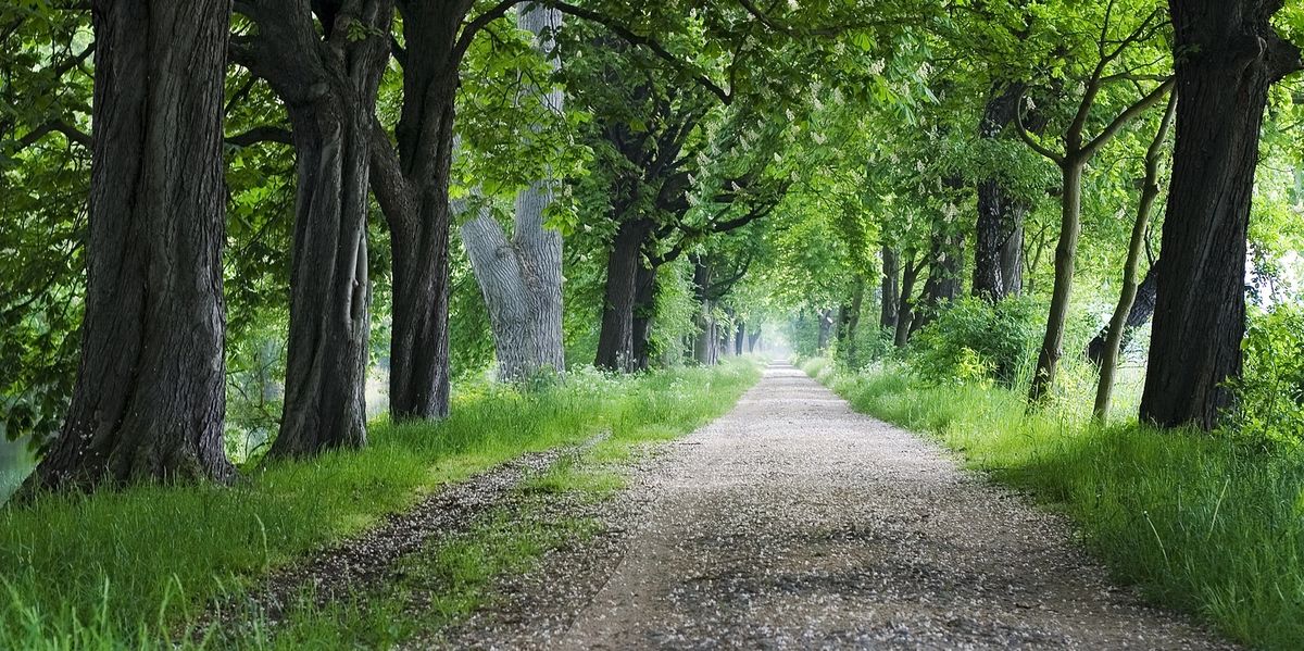 Phoenicia Healing Arts